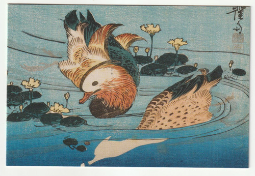 Mandarin ducks eisen blank - mandarin,