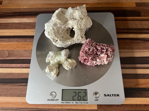Dry reef coral and rock - rock, for
