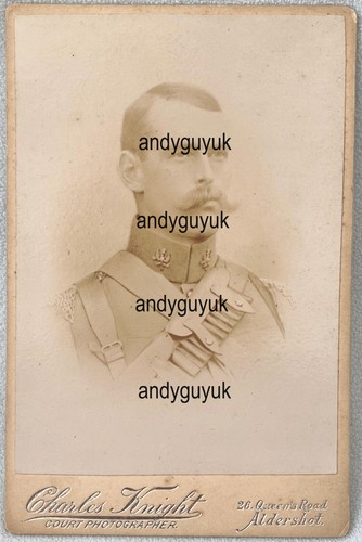 Cabinet card brown - cabinet, synge
