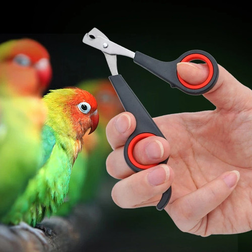Pet nail clippers trimmer - nail,