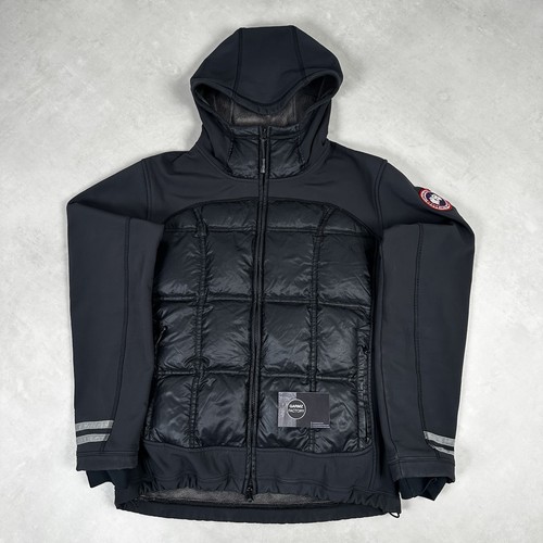 Canada goose hybridge - canada,