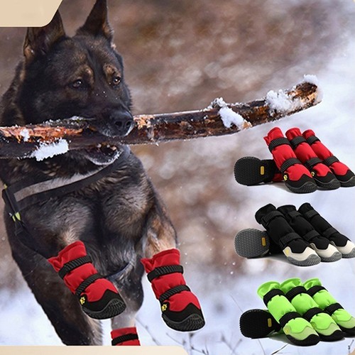 Pet waterproof dog shoes paw - dog,