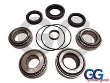Rear diff overhaul kit - overhaul, escort