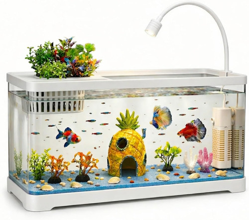 Gallon fish tank aquarium - fish,