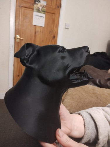 Staffordshire bull terrier - staffordshire,