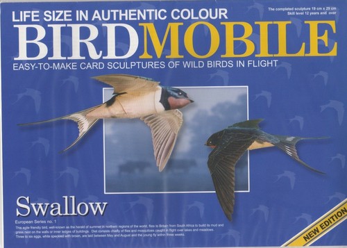 Card model kit - card,