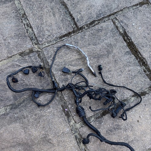Qpeng wiring loom - qpeng, ecu