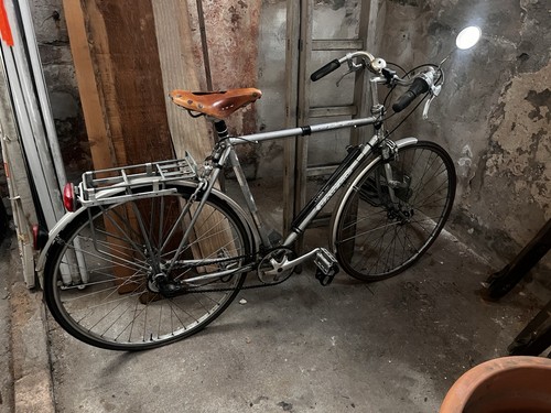 Dawes galaxy 53cm classic - 53cm,