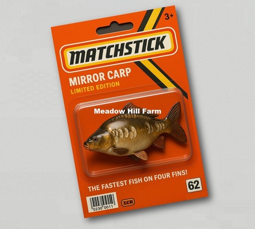 Fridge magnet mirror carp - fridge,