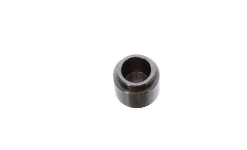Rear brake caliper - rear, pistons