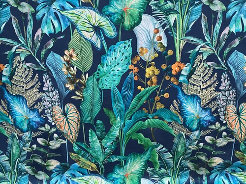 Sapphire tropical palm plants - sapphire,