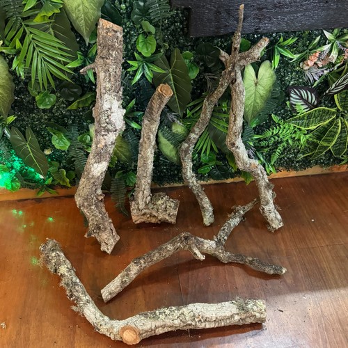 Medium cork bark - medium,