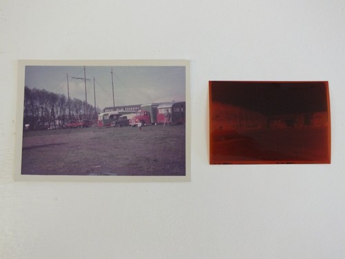 Bertram mills circus - circus, frankwell
