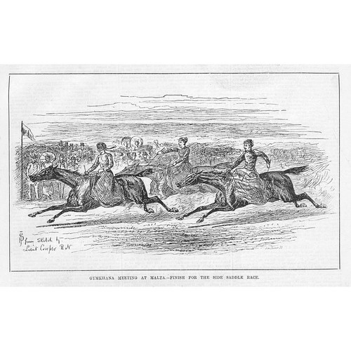 Malta side saddle - side, race