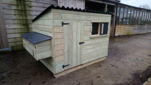 Felton poultry chicken - /, house