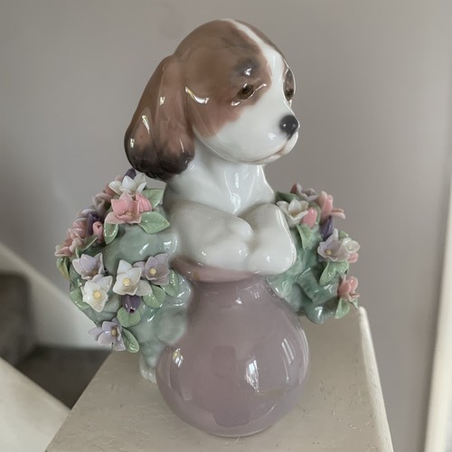Beautiful lladro porcelain - beautiful,