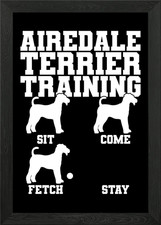 Airedale Terrier Training