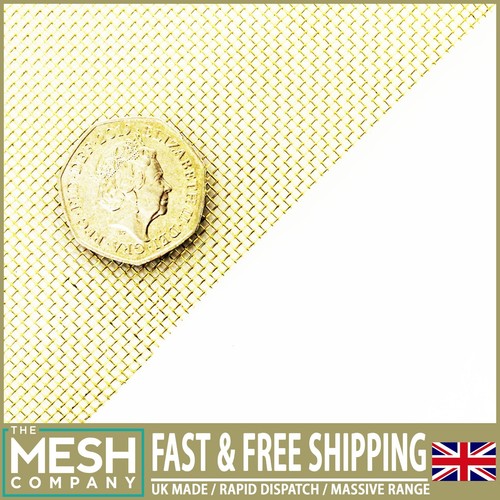 The mesh company - mesh,