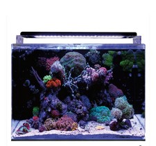 New blue reef 120 litre marine