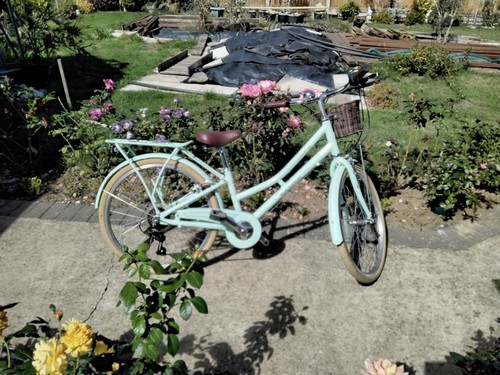 Pembleton young ladies used - pembleton,