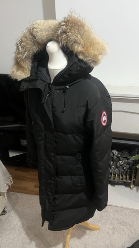 Canada goose expedition - goose,