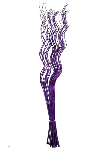 Spiral corkscrew curly - corkscrew,