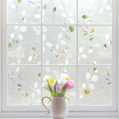 Rainbow frosted window - rainbow,