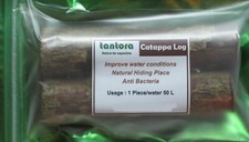 2 Tantora CATAPPA LOG - Indian