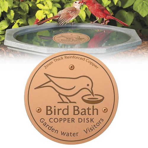 Bird bath copper disk for - copper,