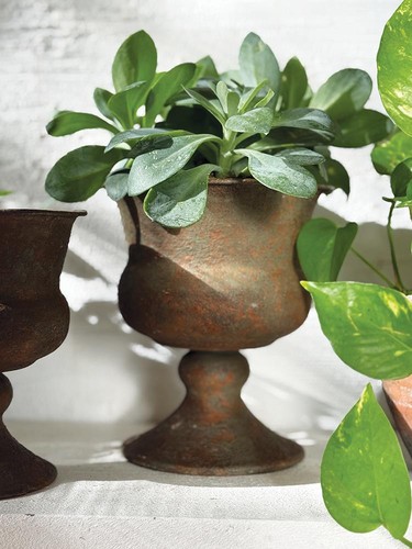 Rust urn pot medium vintage - pot,