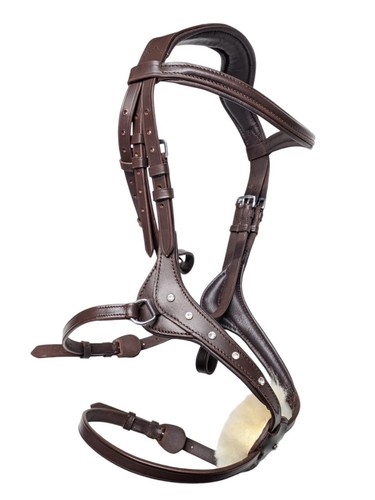 Crystal grackle bridle - bridle, figure
