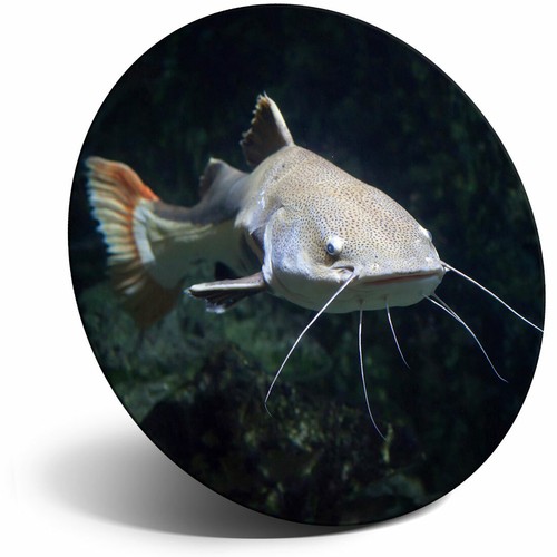 Awesome fridge magnet - awesome,