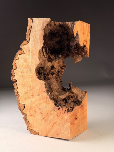 Hollow live edge - hollow,
