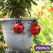 Primus Small Ladybird Wall Art