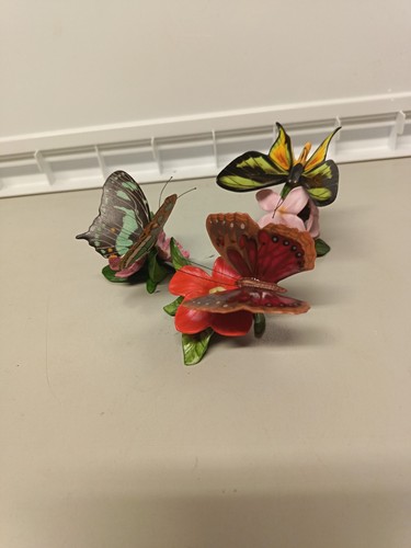 Franklin mint butterfly - franklin,