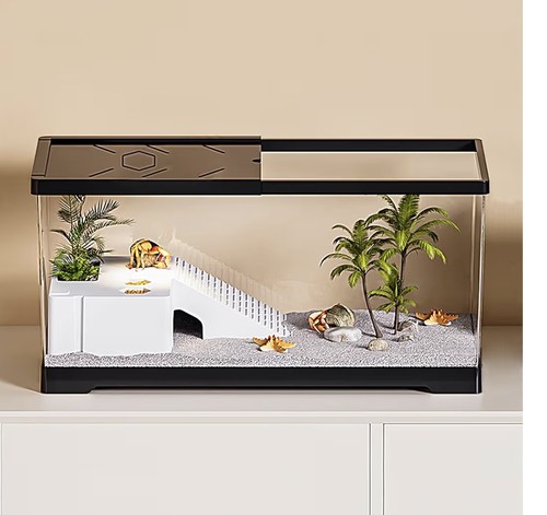 Turtle fish tank basking - turtle,