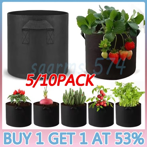 10pack large plant grow - 5/10pack,