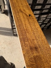 Woodpecker Berkeley Oak