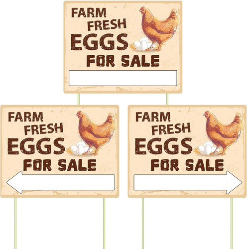 Farm fresh eggs sign double - eggs,