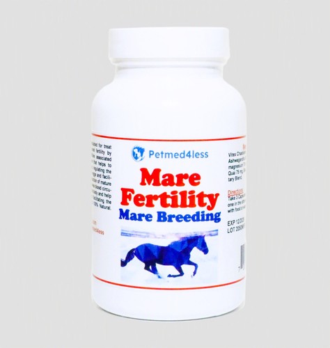 Fertility horse mare equine - horse,