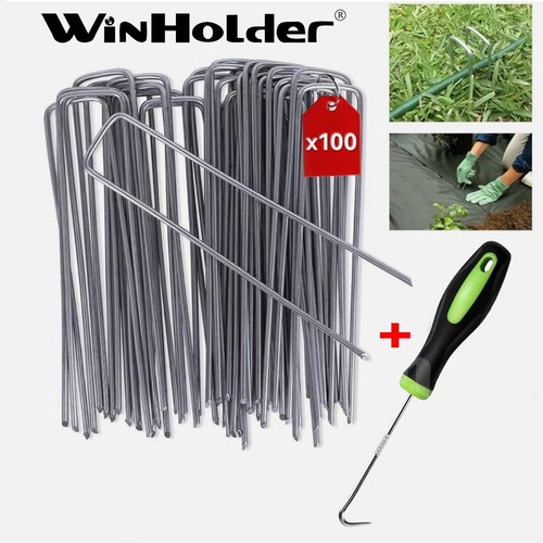 100x galvanised pins - 100x,