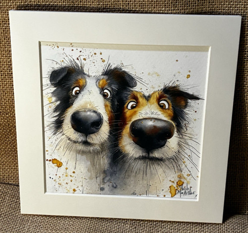 Sheltie dog mounted - sheltie, print