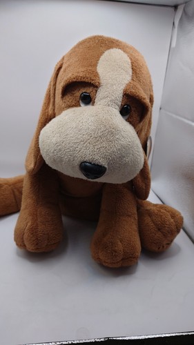 Macy bailey basset - bailey,