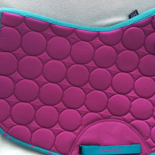 Equestrian pony cob - equestrian, pony/cob