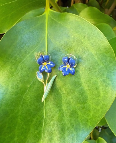 Les nereides blue iris - nereides, flower