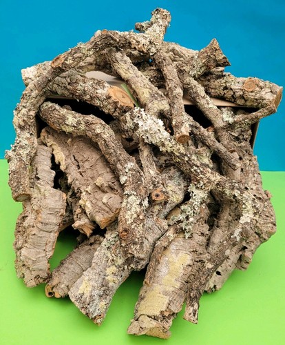 Cork bark branches flats - cork, &