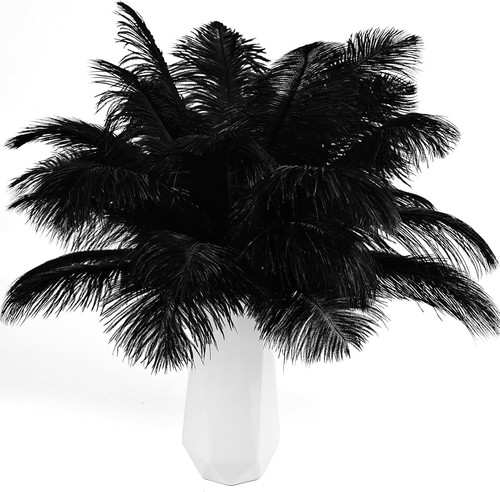 Pcs natural black - pcs, ostrich
