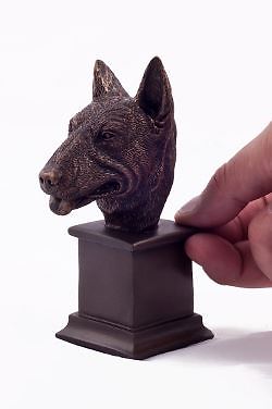 English bull terrier - 'english, terrier'