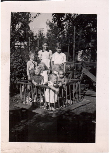 Vintage snapshot large - snapshot,
