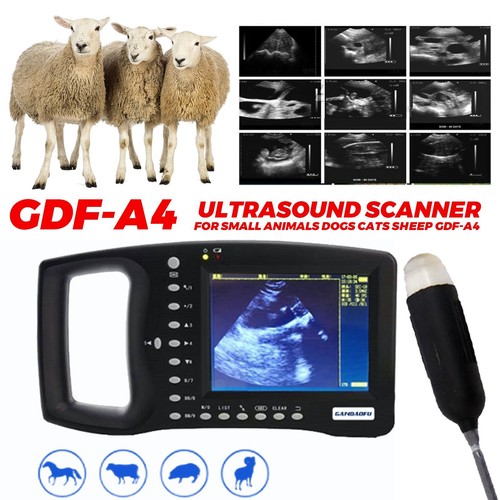 Portable veterinary ultrasound - veterinary,